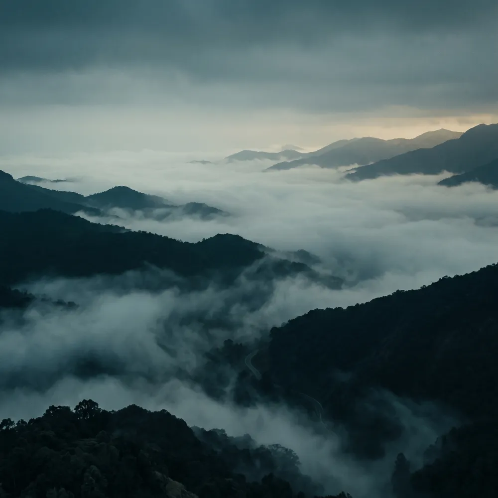 Coorg Hill Station Tour