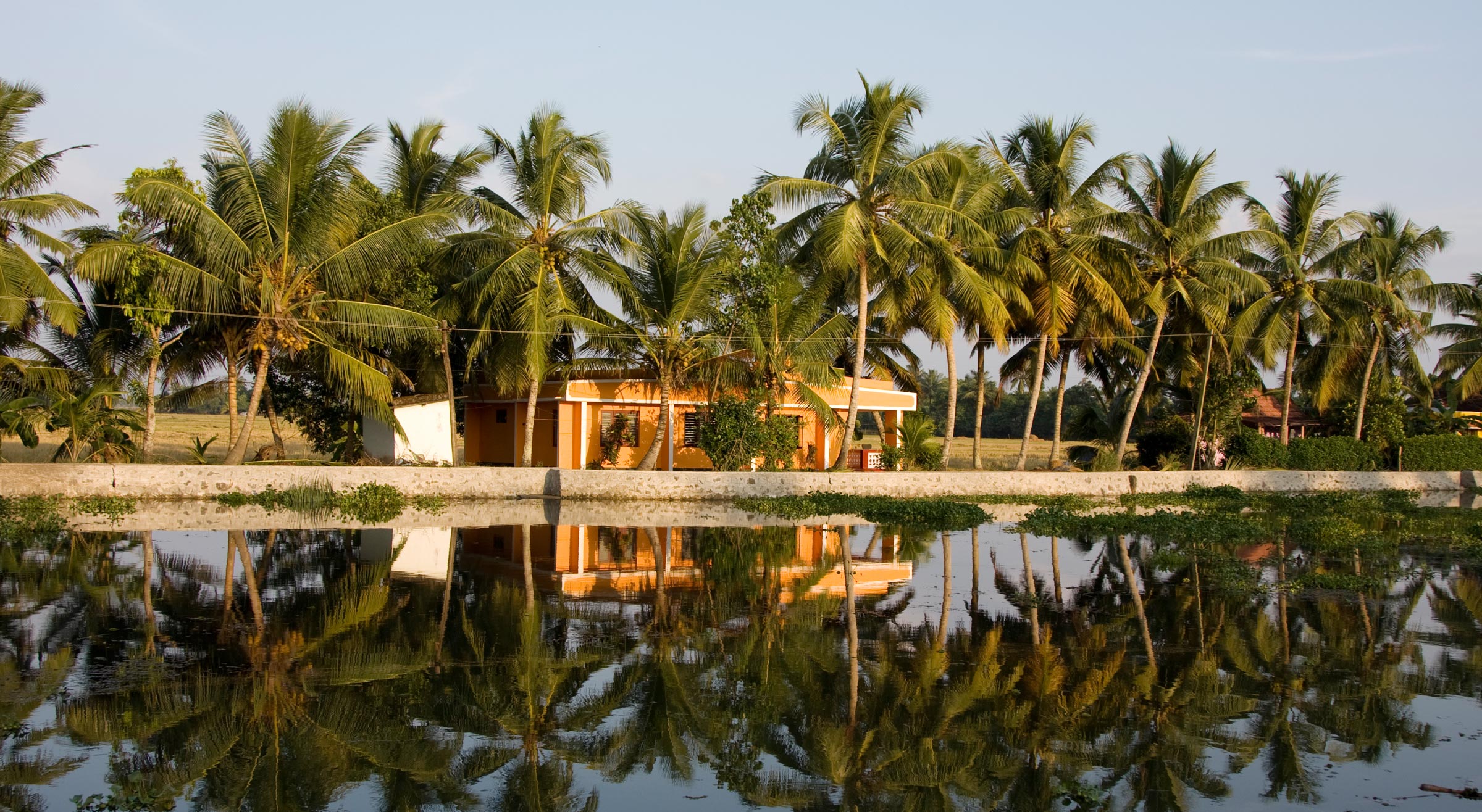 Large-Views-on-Kerela-Backwaters